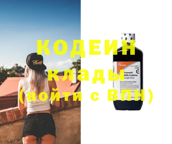 хмурый Аркадак