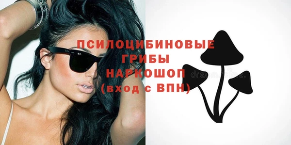 хмурый Аркадак