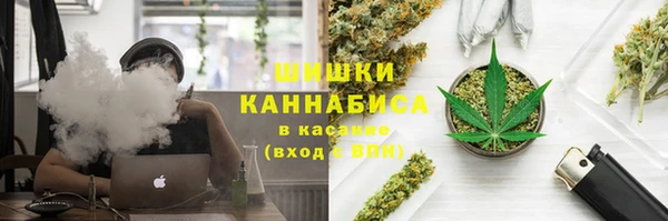 хмурый Аркадак