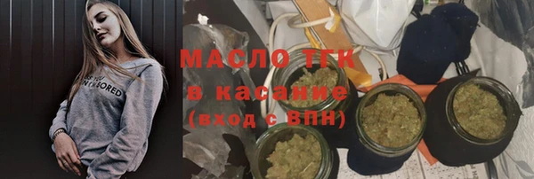 хмурый Аркадак