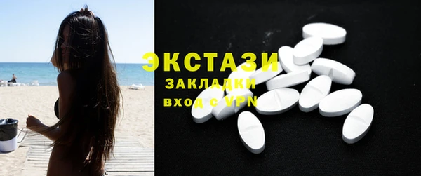 хмурый Аркадак