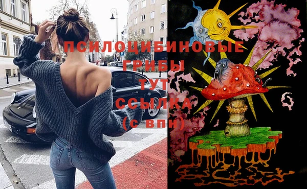 ГАЛЛЮЦИНОГЕННЫЕ ГРИБЫ Арсеньев