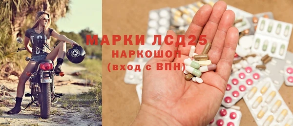 ГАЛЛЮЦИНОГЕННЫЕ ГРИБЫ Арсеньев
