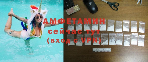 хмурый Аркадак