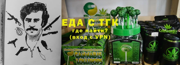 хмурый Аркадак