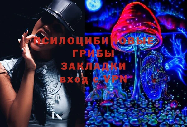 индика Армянск
